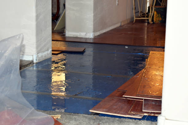 Professional Water Damage Restoration technician working in Lexington, OH